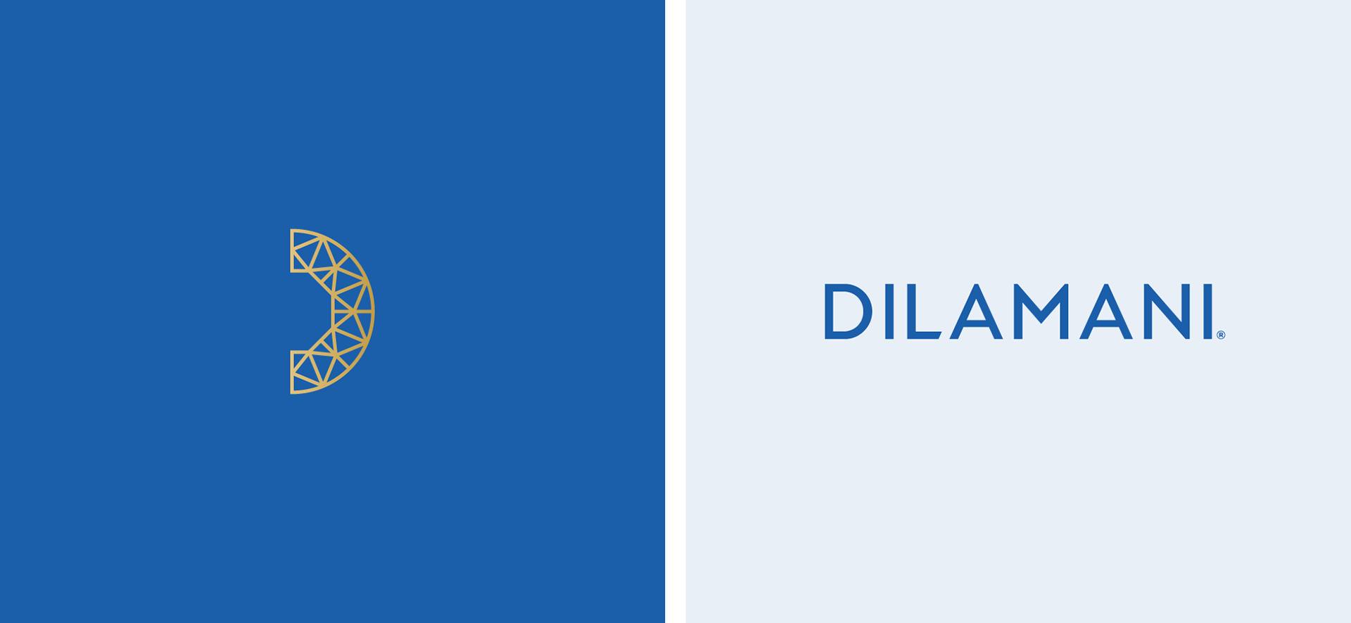 dilamani-new