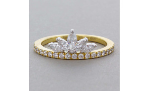 lr21521_-_straight_on