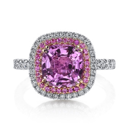 r2649-rc1400-pscu_-_web