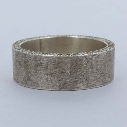 trdr509-silver_-_profile