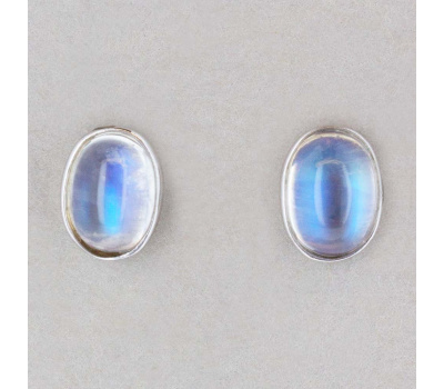 152956_-_straight_on