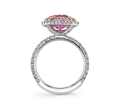 r2649-rc1400-pscu-3_-_web