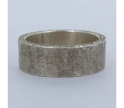 trdr509-silver_-_profile